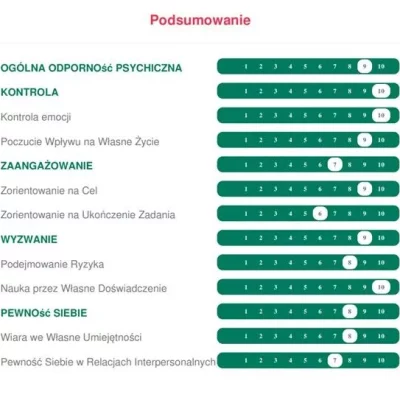 MTQ-Plus-wycinek-raportu